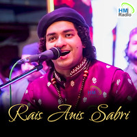 PK - Dil Laga Ke Pareshan Bahut Hai - Rais anis sabri
