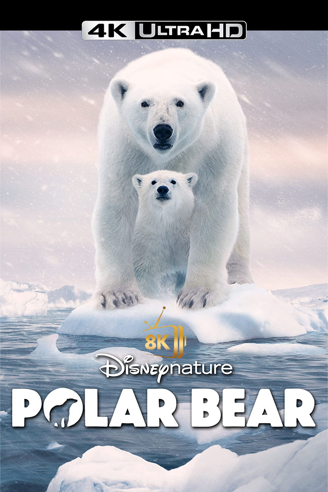 4K-EN - Polar Bear  (2022)