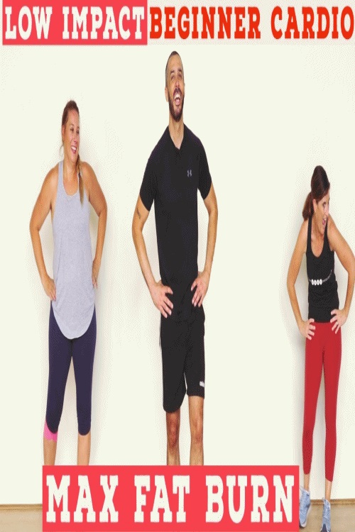 EN - Low Impact Beginner Cardio: Max Fat Burn