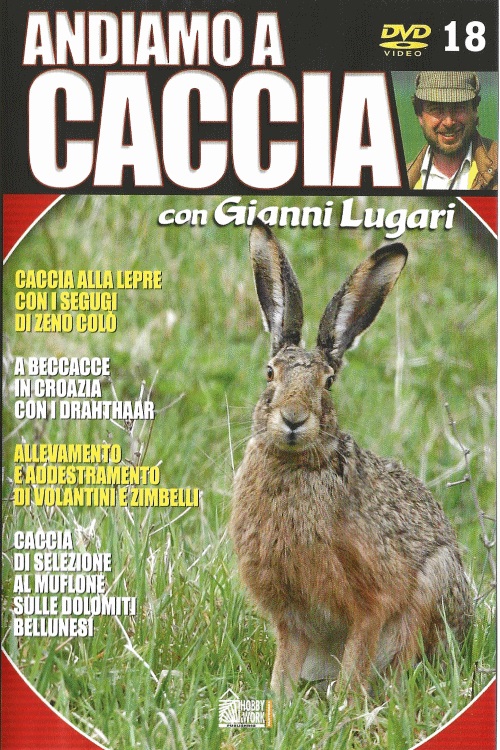 IT - Andiamo a caccia #18