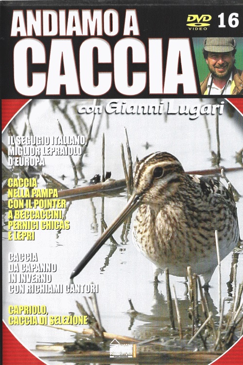IT - Andiamo a caccia #16