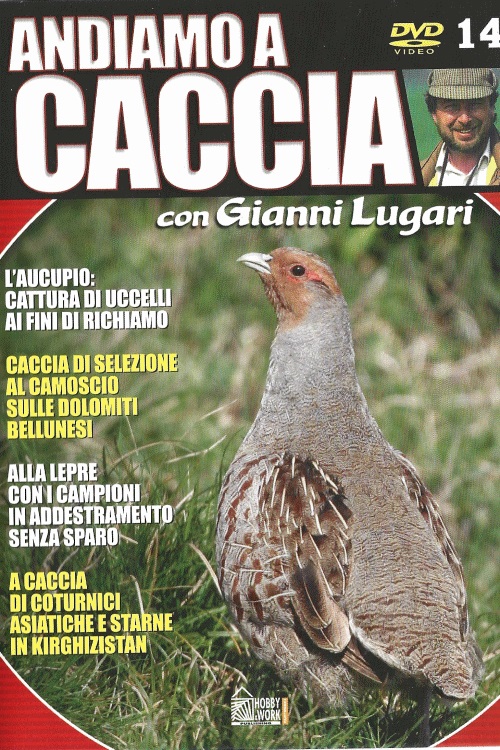 IT - Andiamo a caccia #14