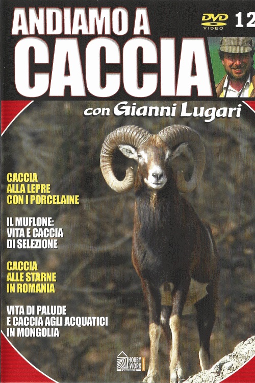 IT - Andiamo a caccia #12