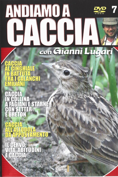 IT - Andiamo a caccia #07