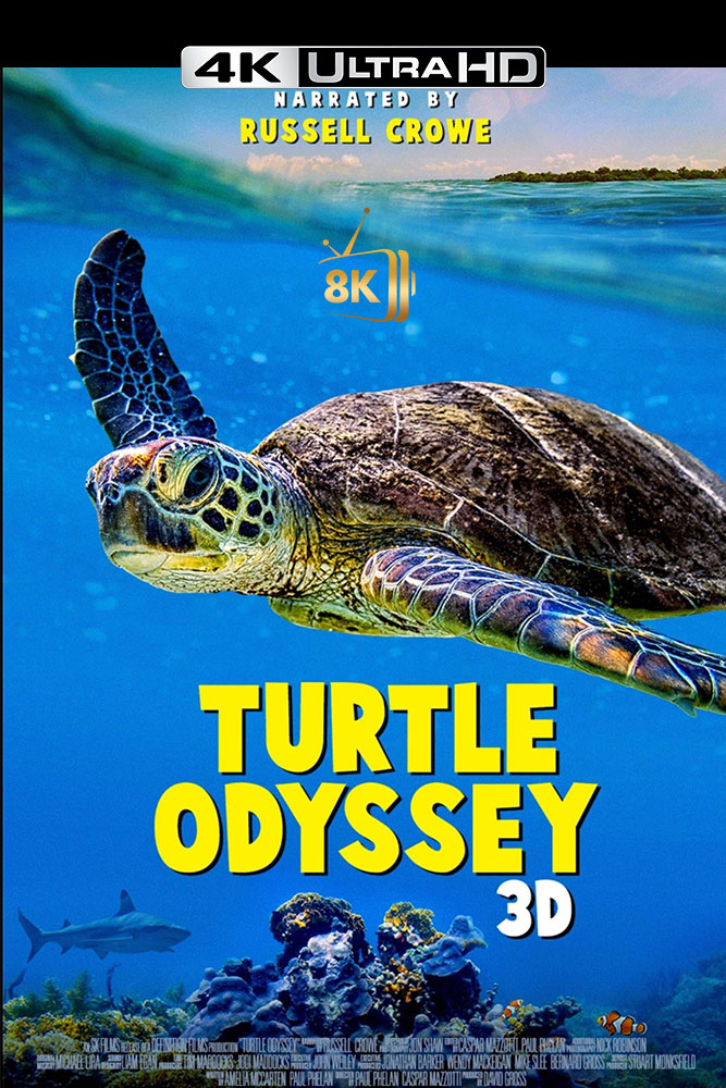 4K-FR - Turtle Odyssey (2018)