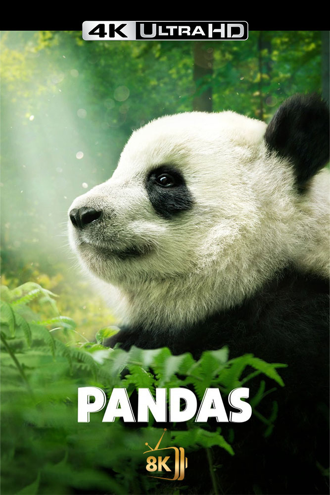 4K-FR - Pandas (2018)